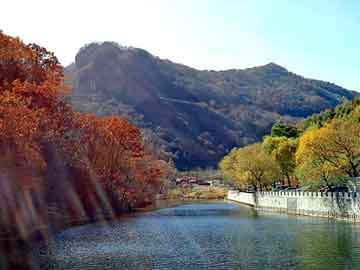 新澳天天开奖资料大全旅游团，神木seo